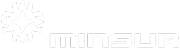 Minsur